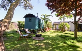 Photo of Shepherds Hut at The Hollies