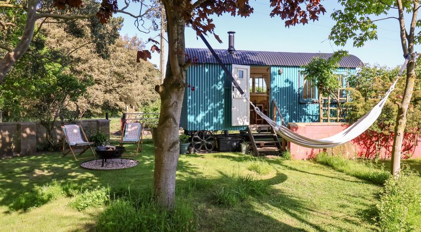 Photo of Shepherds Hut at The Hollies