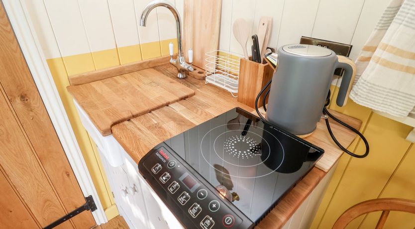 Photo of Shepherds Hut at The Hollies