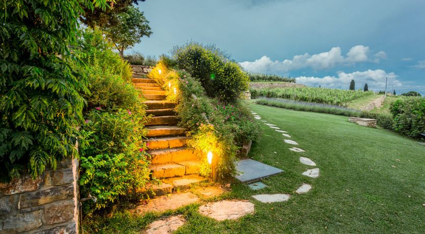 Photo of Mountain Grapes