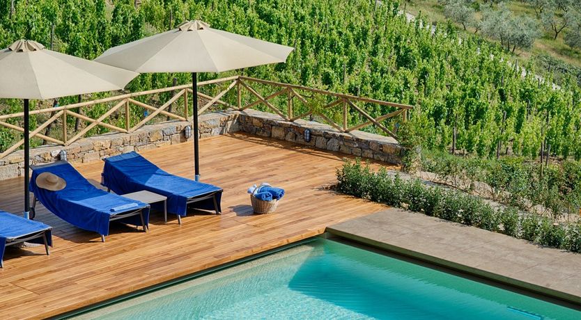 Photo of Mountain Grapes