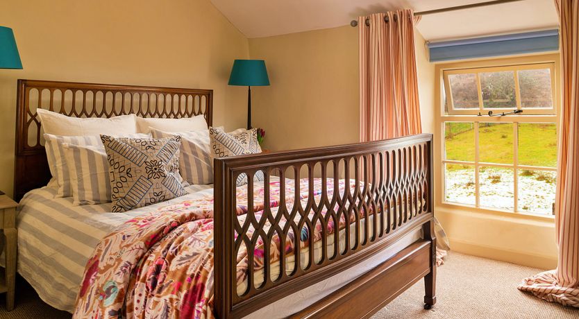 Photo of Welsh Wisteria