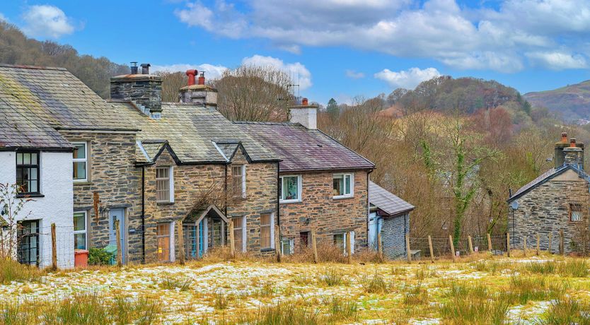 Photo of Welsh Wisteria