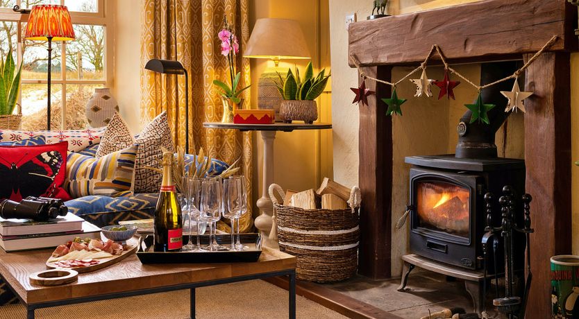 Photo of Welsh Wisteria