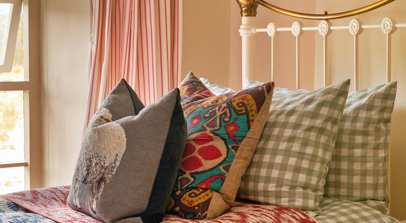 Photo of Welsh Wisteria