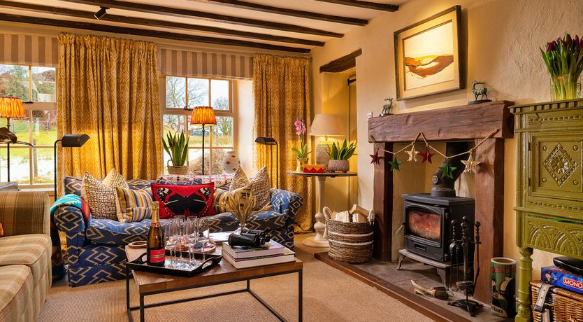 Photo of Welsh Wisteria