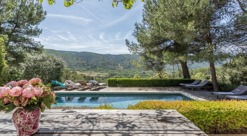 Photo of Chic & Buzzy