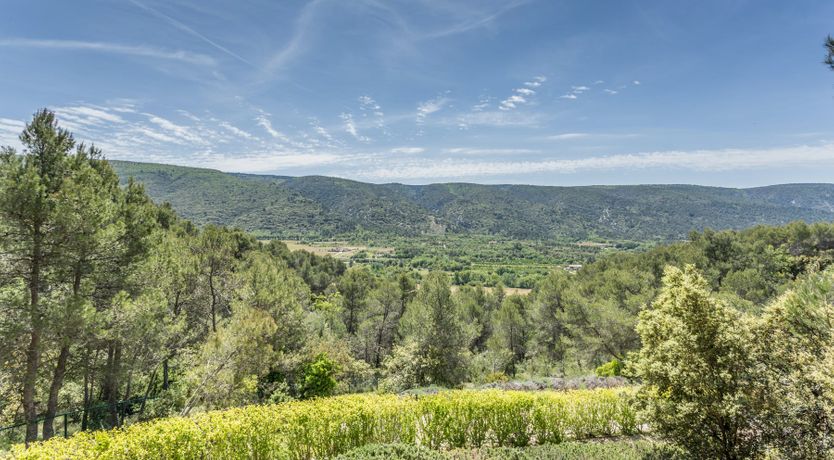 Photo of Chic & Buzzy