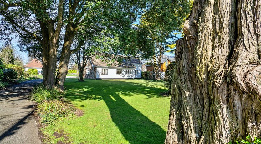 Photo of A Nest Of Sails