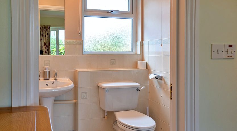 Photo of A Nest Of Sails