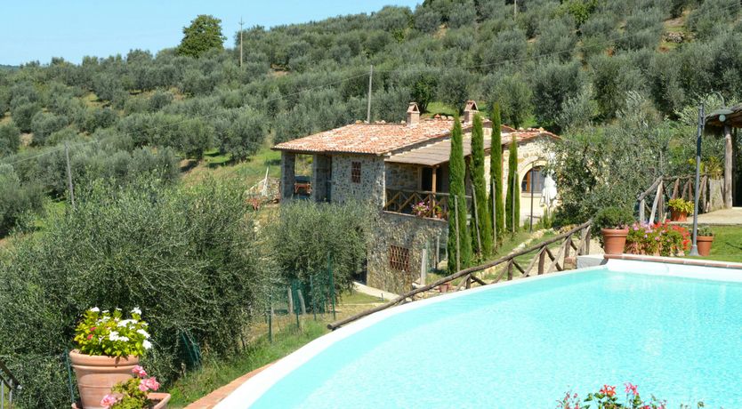 Photo of Olive Green