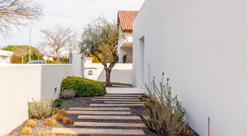 Photo of Ladies in Red