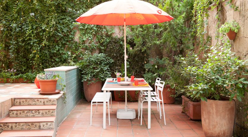 Photo of Vibes of the Vines