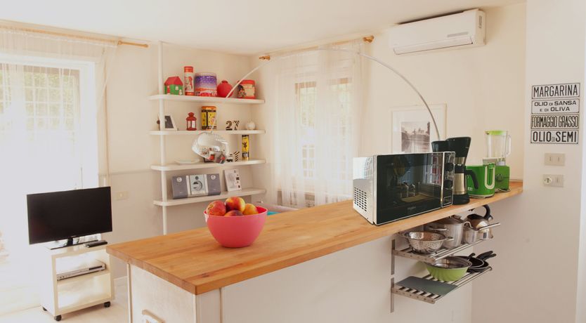 Photo of Vibes of the Vines