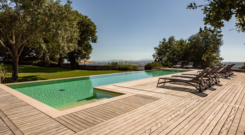 Photo of Pink Citron