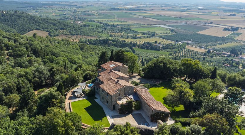 Photo of Pink Citron