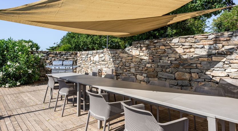 Photo of Pink Citron