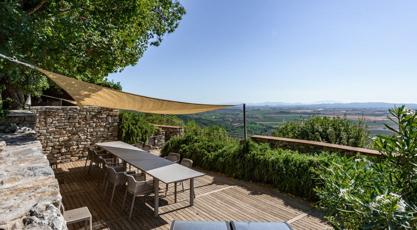 Photo of Pink Citron