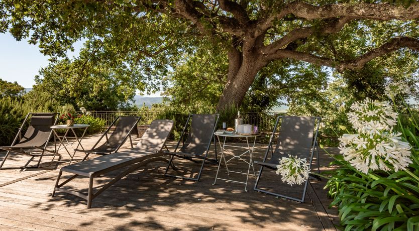 Photo of Pink Citron