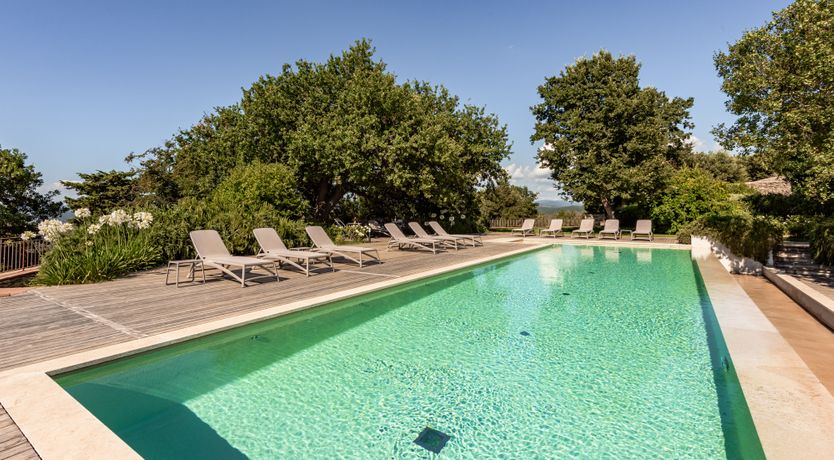 Photo of Pink Citron