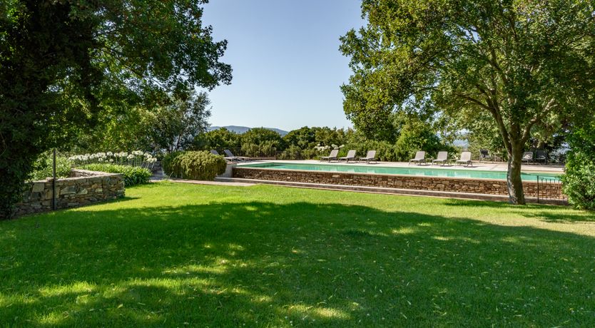 Photo of Pink Citron