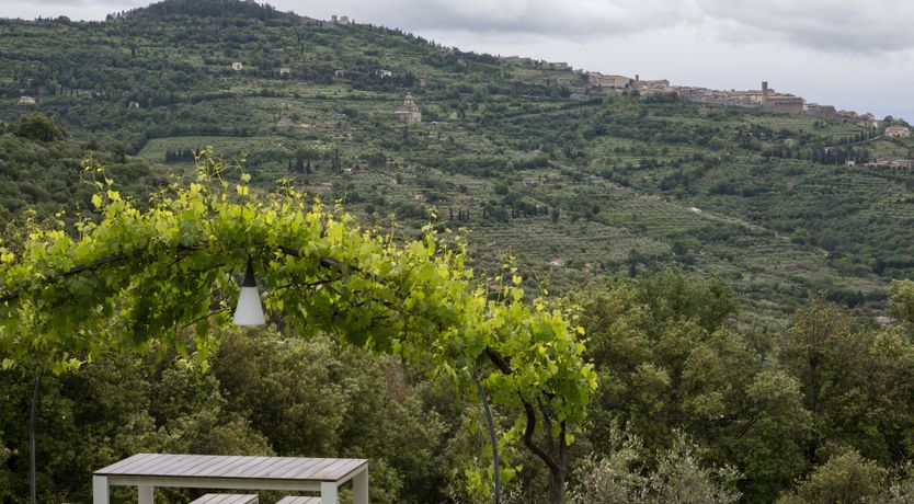 Photo of Timeless in Tuscany