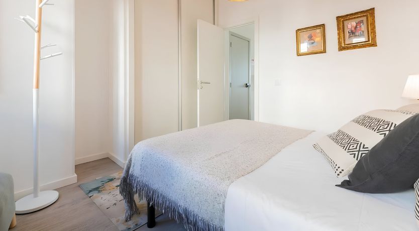 Photo of Prism of Summer