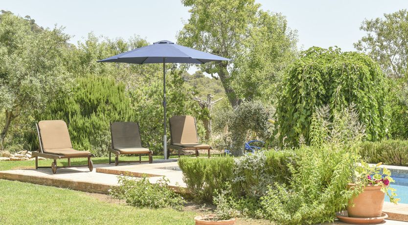 Photo of Lady of the Sun