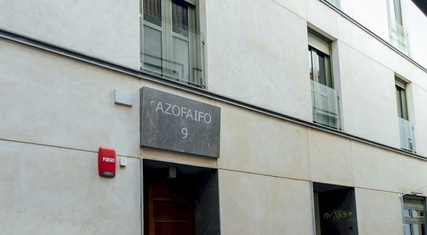 Photo of The Flowering Onion