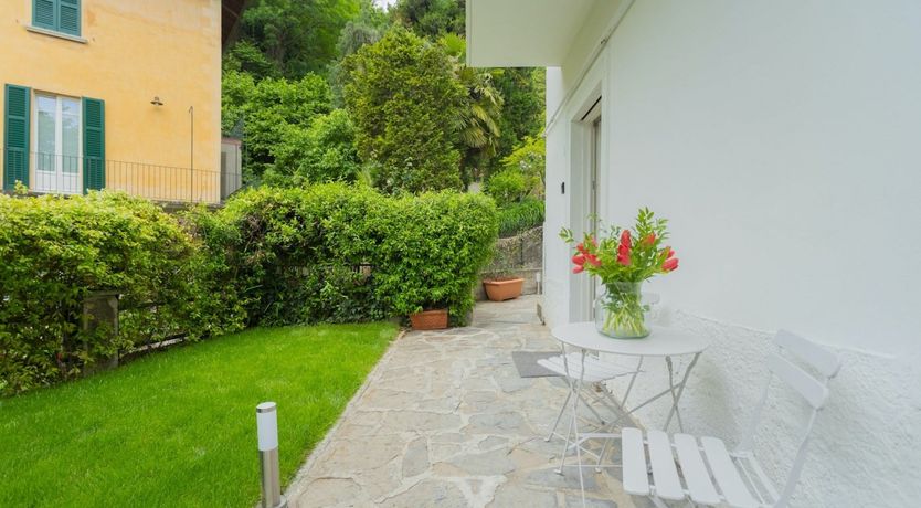 Photo of The Pine Tree