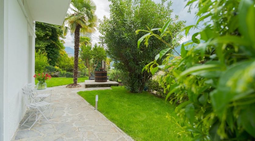 Photo of The Pine Tree