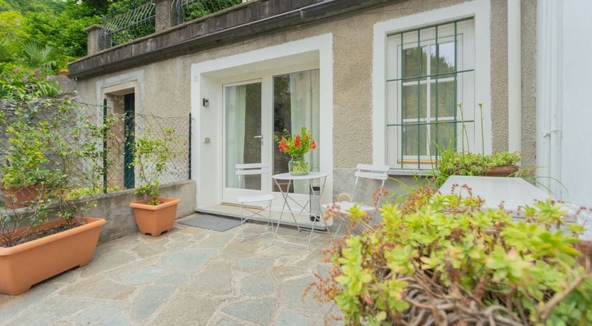 Photo of The Pine Tree