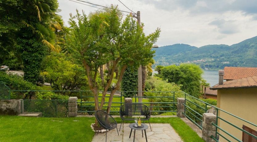 Photo of The Pine Tree