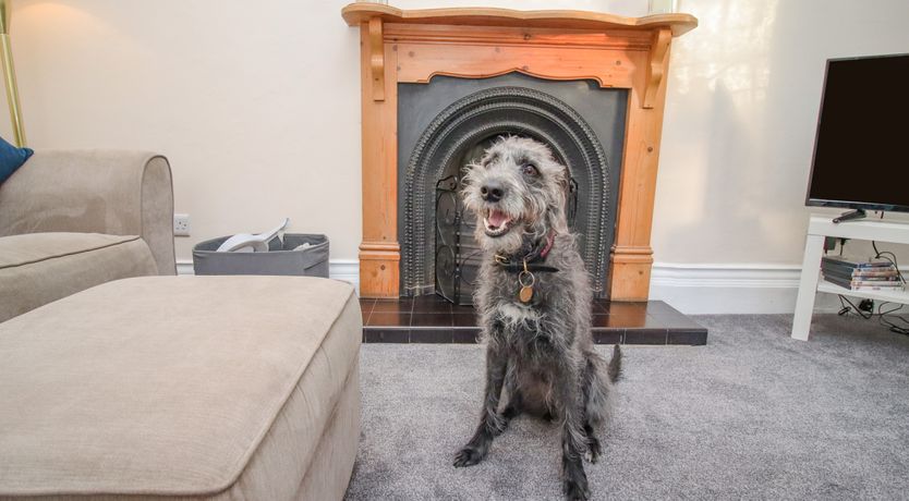 Photo of Butler's Cottage