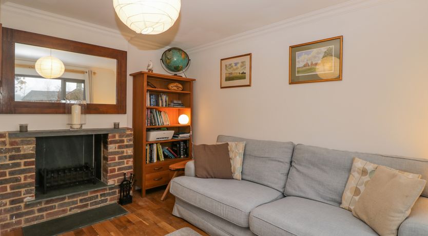 Photo of Little Foxes