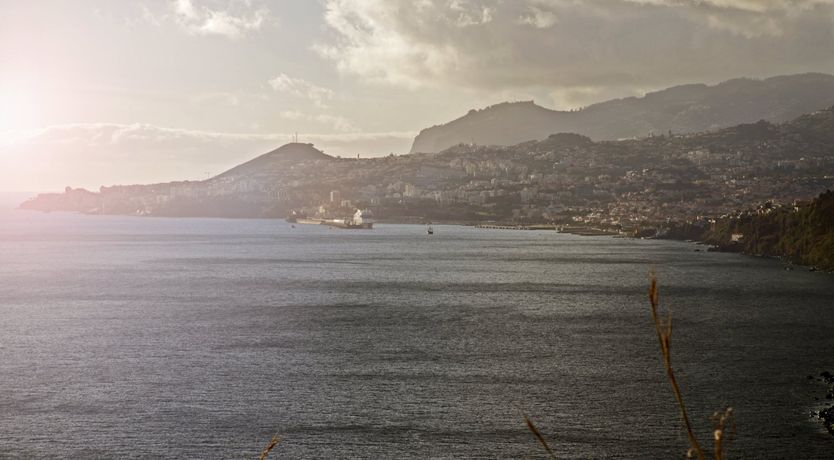 Photo of Atlantic Mist