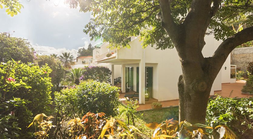 Photo of Atlantic Mist