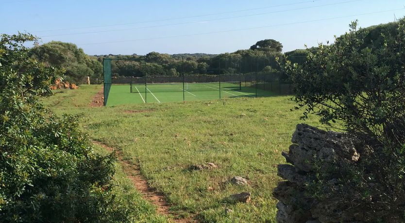 Photo of Wild Tortuga