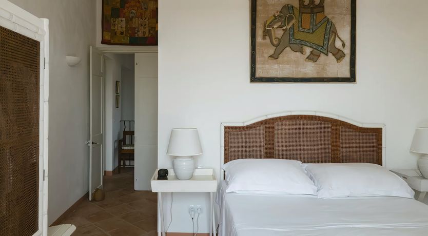 Photo of Wild Tortuga