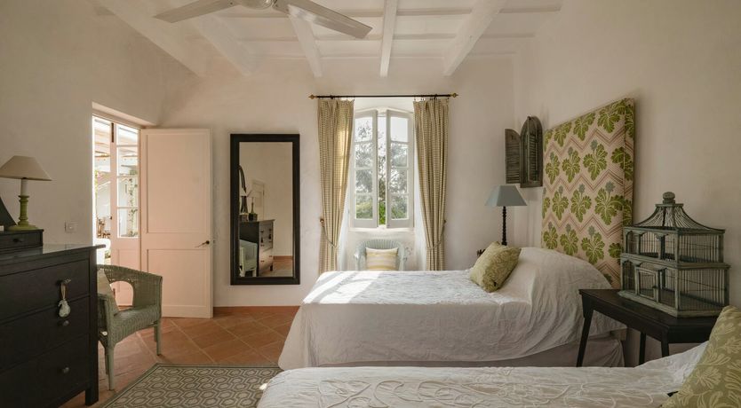 Photo of Wild Tortuga