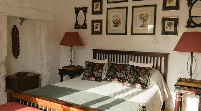 Photo of Wild Tortuga