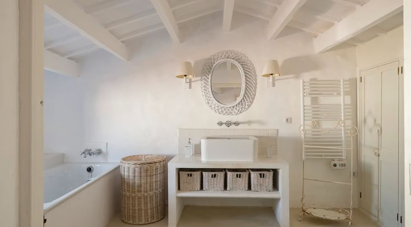 Photo of Wild Tortuga