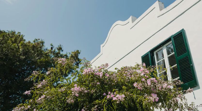 Photo of Wild Tortuga