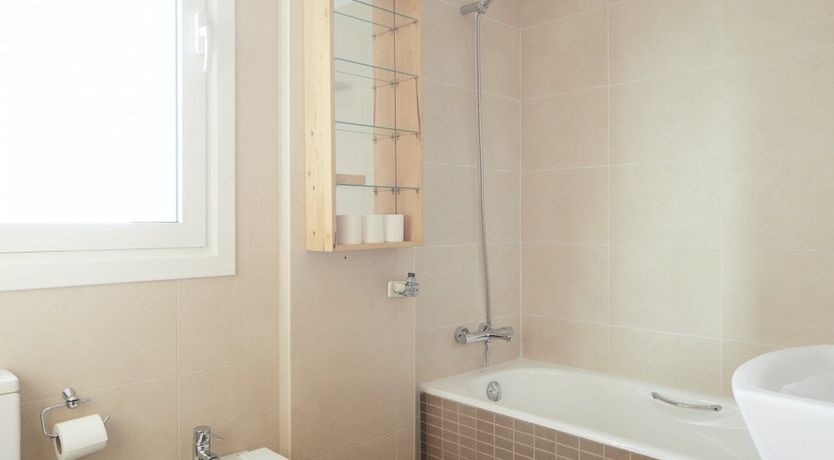 Photo of Basque in it