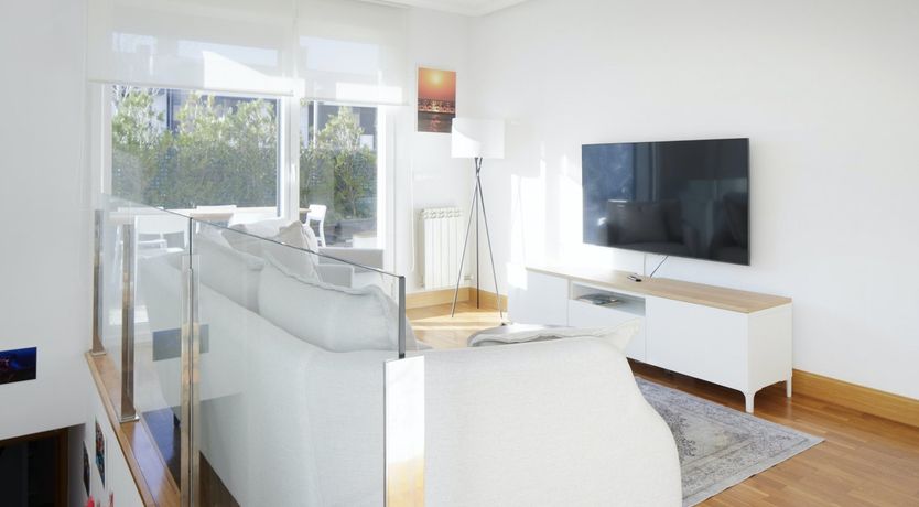 Photo of Basque in it