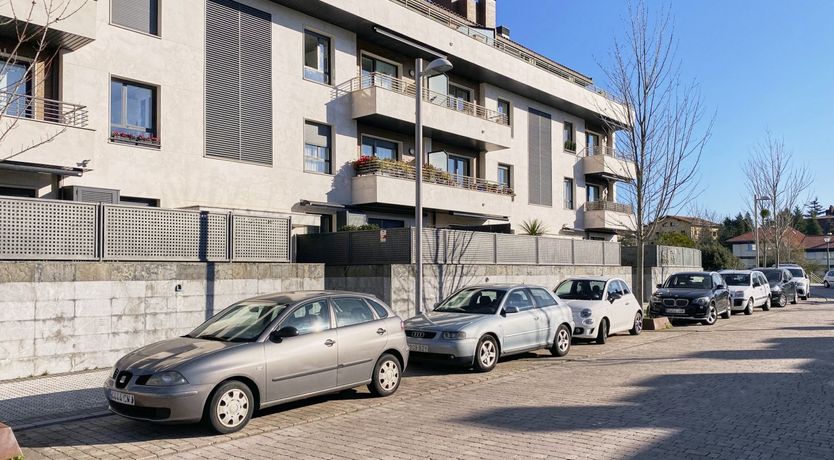 Photo of Basque in it