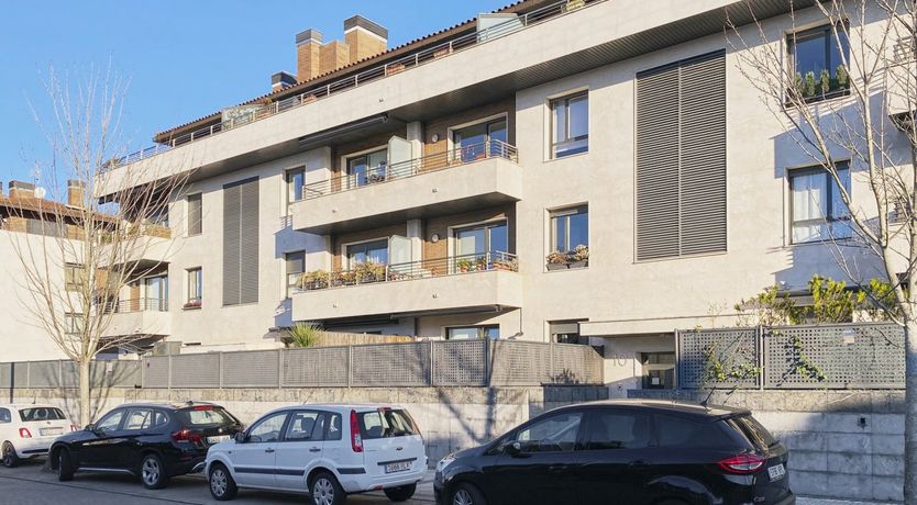 Photo of Basque in it