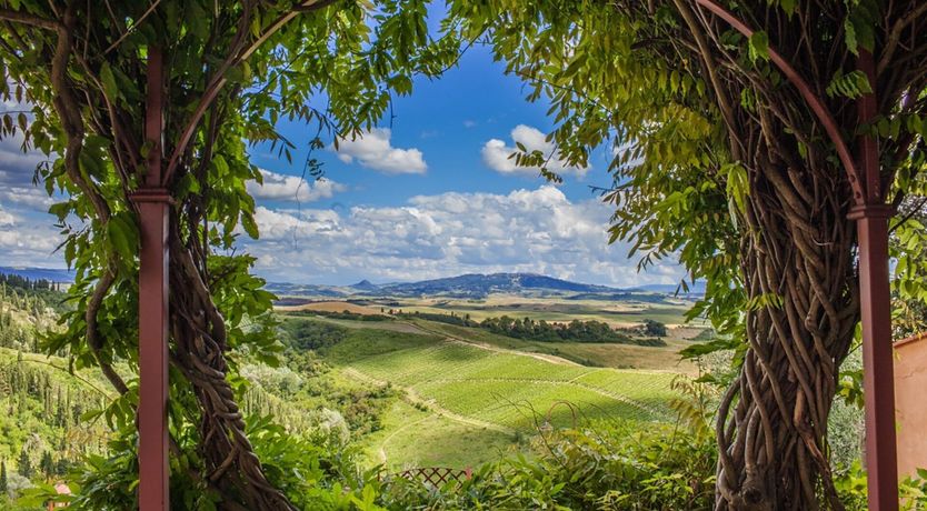 Photo of Blushing Pink