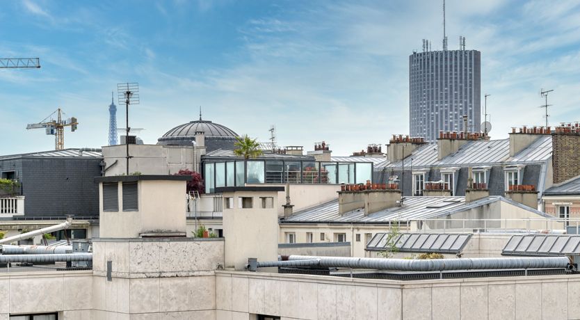 Photo of Tickle My French Fancy