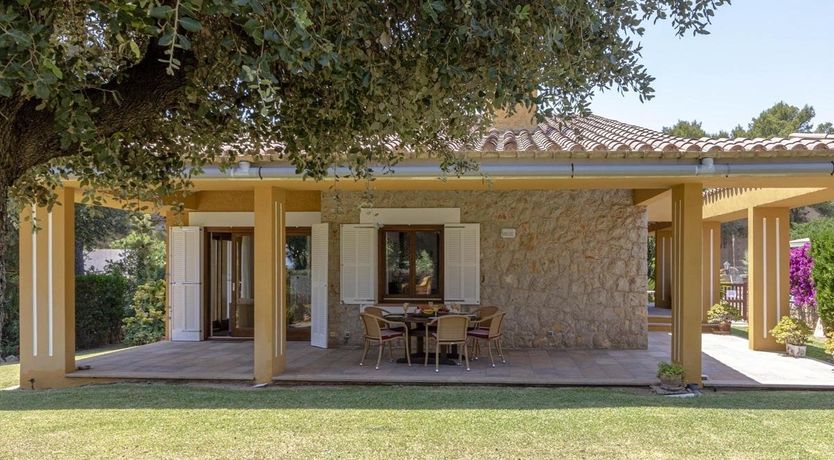 Photo of Wrapped in Green